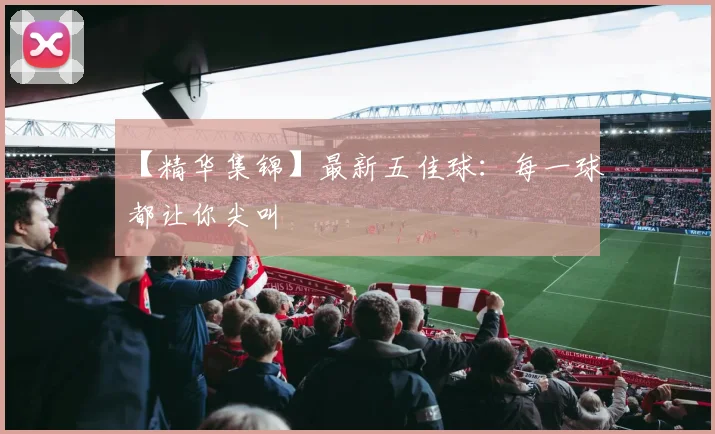 【精华集锦】最新五佳球：每一球都让你尖叫