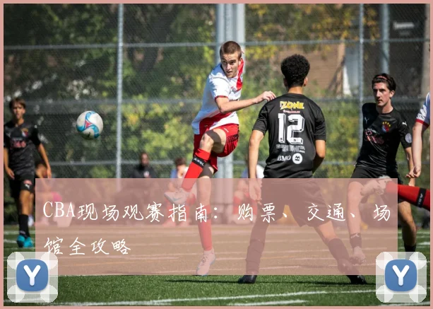 CBA现场观赛指南:购票、交通、场馆全攻略