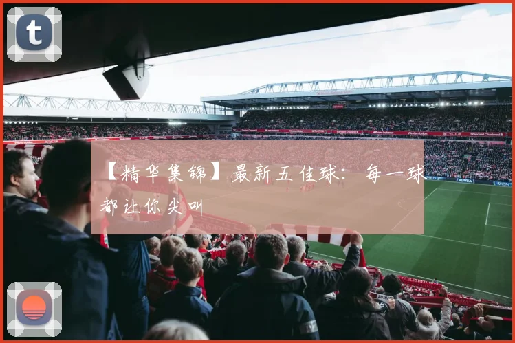 【精华集锦】最新五佳球：每一球都让你尖叫